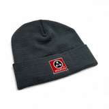 Molecule Classic Beanie Gray